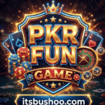 PKR Fun Game mobile gaming interface showing exciting gameplay experience for Pakistani users