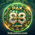 PAK WIN 88 Game APK Download for Android Pakistan 2026
